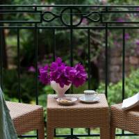 Double or Twin Room with Garden View