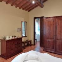 King Room with Garden View