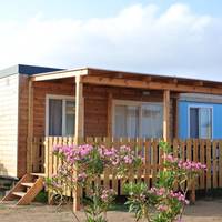 Mobile Home