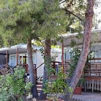 Mobile Home (4 Adults)