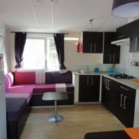 Mobile Home