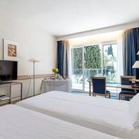Standard Double or Twin Room with Park View