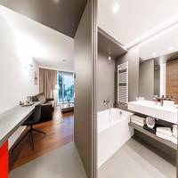 Deluxe Suite with Lake View