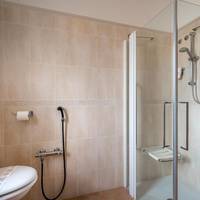 Triple Room with Spa Access
