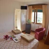 Single Room with Terrace