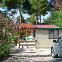 Bungalow (4 Adults)