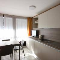 One-Bedroom Apartment (4 Adults)