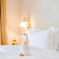 Superior Double Room For Single Use