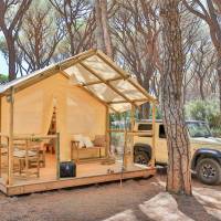 6-Bed Mixed Dormitory Tent