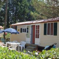 Mobile Home