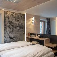 Superior Deluxe Double or Twin Room 