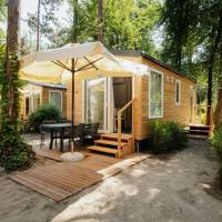 Mobile Home Wood