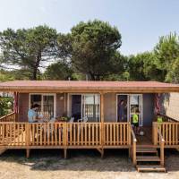 Mobile Home Sunshine