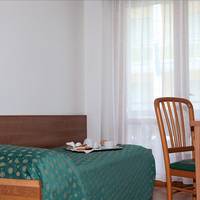 Superior Single Room