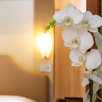 Double or Twin Room with Balcony