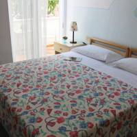 Comfort Double or Twin Room with Balcony