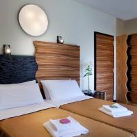 Superior Double or Twin Room with Lake View