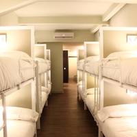 Premium Bunk Bed in 14-Bed Mixed Dormitory Room with Private Bathroom