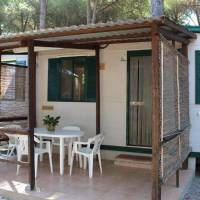 Mobile Home (4 Adults)