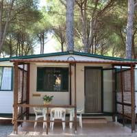 Mobile Home (5 Adults)