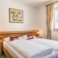 Double or Twin Room with Mountain View
