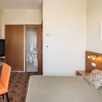 Single Room with Terrace