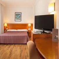 Single Room with Terrace