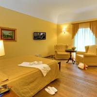 Deluxe Junior Suite