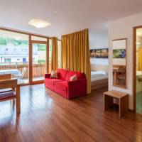 Big One-Bedroom Apartment