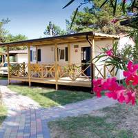 Mobile Home