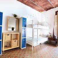 Single Bed in 6-Bed Dormitory Room