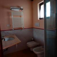 Large Single Room
