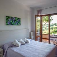 Double or Twin Room  with Terrace 