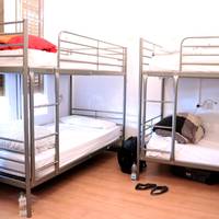 Bunk Bed in 6-Bed Mixed Dormitory Room