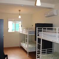 Bed in 4-Bed Mixed Dormitory Room