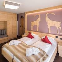 Large Double or Twin Room