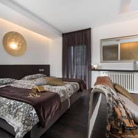 Deluxe Double or Twin Room with private sauna and fireplace