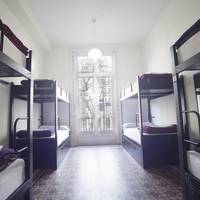 Single Bed in 8-Bed Dormitory Room