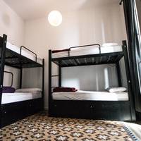 Single Bed in 12-Bed Dormitory Room