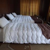 Triple Room with Air-Conditioner 