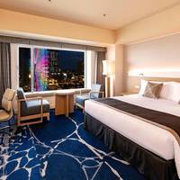 Superior King Double Room with City View - Non-Smoking