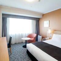 Double Room - Non-Smoking 