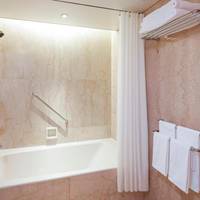 Premium Suite with Executive Lounge Access - Non-Smoking