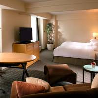 Junior Suite with Executive Lounge Access - Non-Smoking