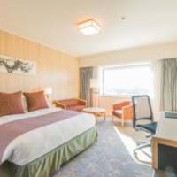 Room #23561639