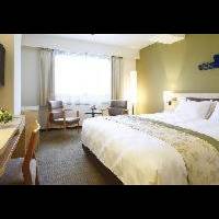Room #17264069