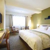 Room #17264086