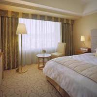Room #17264131