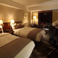 Deluxe Twin Room with Castle View -Non-Smoking