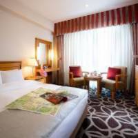 Room #29807887